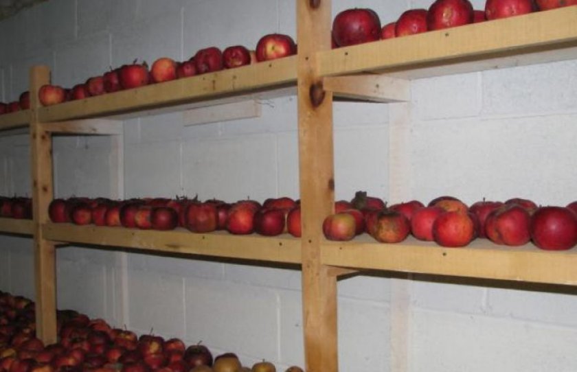 2e9bb04a713e61cee089cf3b49174205 Зберігання яблук на зиму в льоху: способи та правила довгострокового зберігання врожаю в погребі