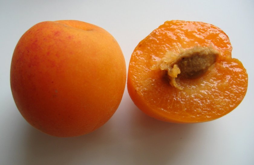 3a732a78898d08e760dc54958297aae2 Гібриди персика та нектарина, аличі, яблука, персика: опис сортів з фото