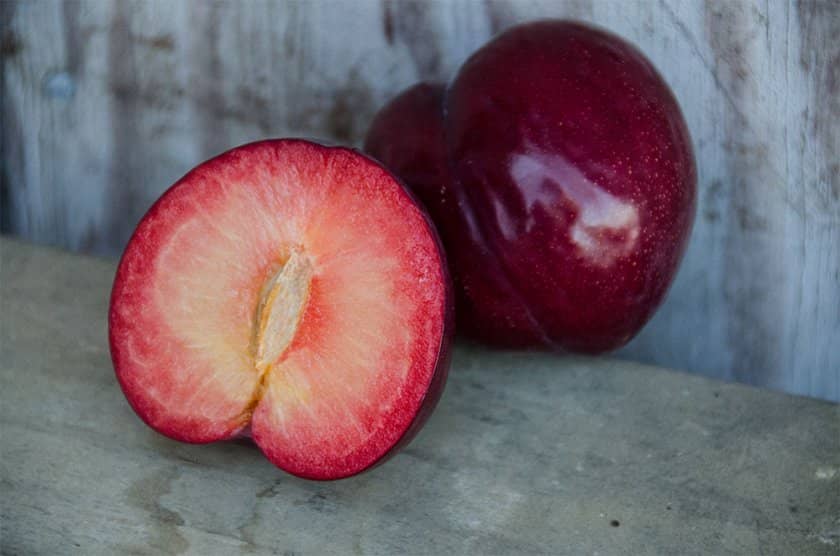 4df0c0dc3f295821a3d1751b2c9d11a8 Гібриди персика та нектарина, аличі, яблука, персика: опис сортів з фото
