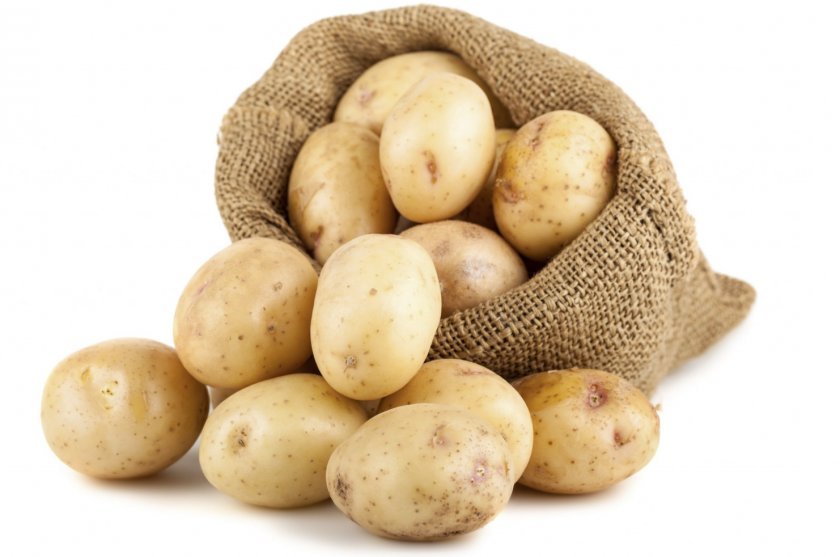 58292a4b4b0d05e7a70506cc21b07500 Картопля сорту Білий лебідь: опис, характеристики, вирощування і догляд у відкритому грунті, фото