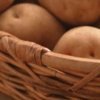 58a55144350c162a242b5bb6addb4786 Сорт картоплі Чавунка: ботанічний опис і характеристика, особливості вирощування та догляду, фото