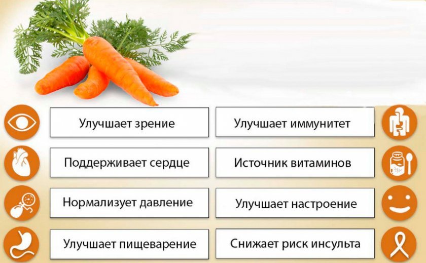 5b8f1c4a1f99eb7ebeef9b3accafcba0 Моркву сорту Ромоса: характеристика та опис сорту, особливості догляду та вирощування, фото