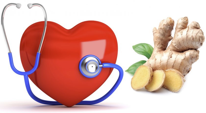 7f2bb504cc5c7c1c83d8f3cb293cf768 Імбир при хворобах серця: аритмії, тахікардії, вплив імбирного кореня на серцево судинну систему, рецепти народної медицини