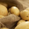 8a45ad5fcc972c1f02223ed414c357e1 Картопля сорту Фермер: опис, характеристика та вирощування сорту, особливості посадки і догляду