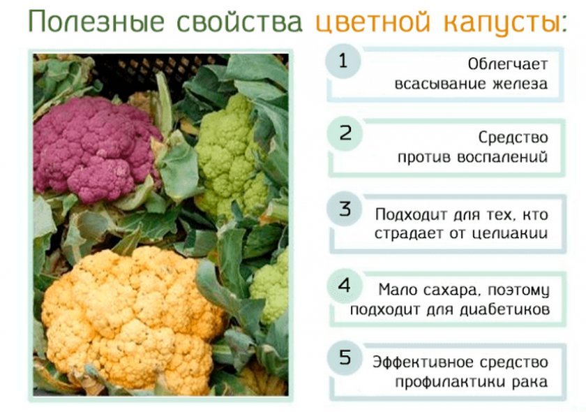 8b113c53bb698bb36887b2e76c7bf94f Цвітна капуста при гастриті: користь і шкода, можна їсти, особливості вживання