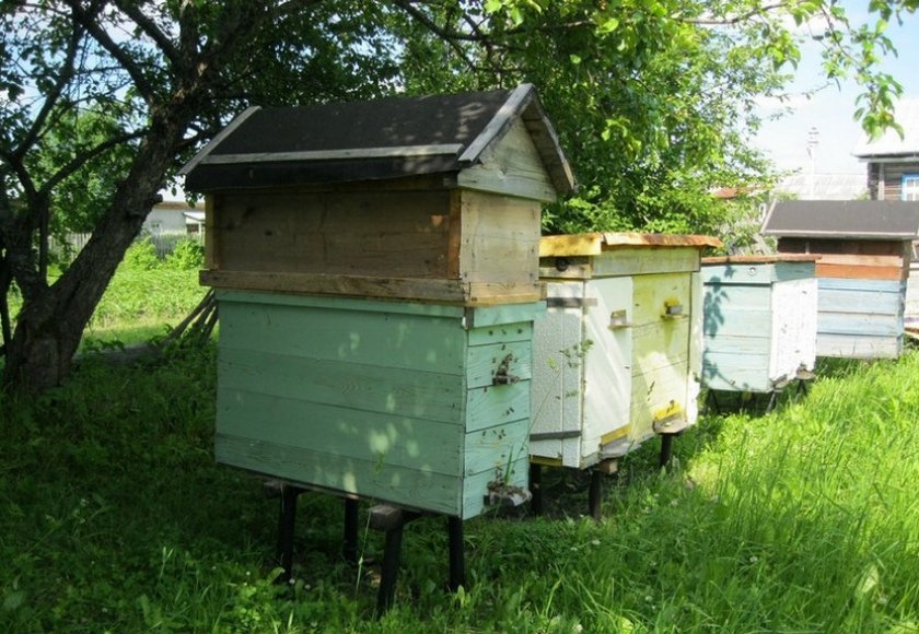 8f16225f0852b657c08bdd86a460d9e5 Будиночок для бджіл: види, особливості конструкції, вимоги, як зробити будиночок своїми руками