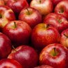 9587fefc40ff23015c372ca4099be4dc Користь яблук для організму жінки: особливості вживання, можливі протипоказання і шкоду
