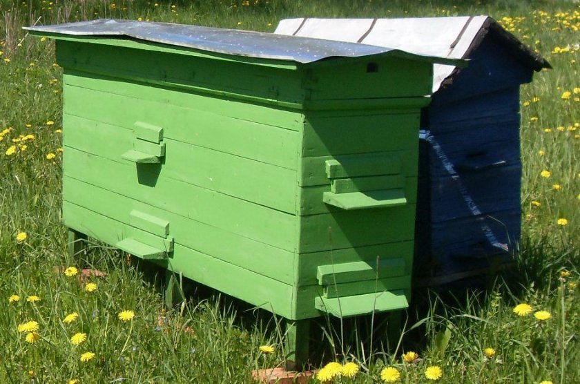 959c1e8f006f6a46eb909bb121b113b7 Будиночок для бджіл: види, особливості конструкції, вимоги, як зробити будиночок своїми руками