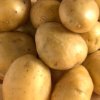 95a4332068cb00889323b628c6bcecf3 Картопля сорту Олена: основні характеристики і опис, агротехніка вирощування і догляд, фото
