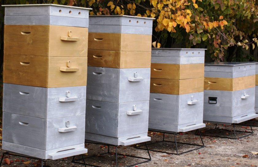 973319cb10c9acee7a2bf185c8d44bc9 Який вулик краще: види, за якими критеріями вибирати, ТОП 4 найкращих варіанти, поради початківцям бджолярам