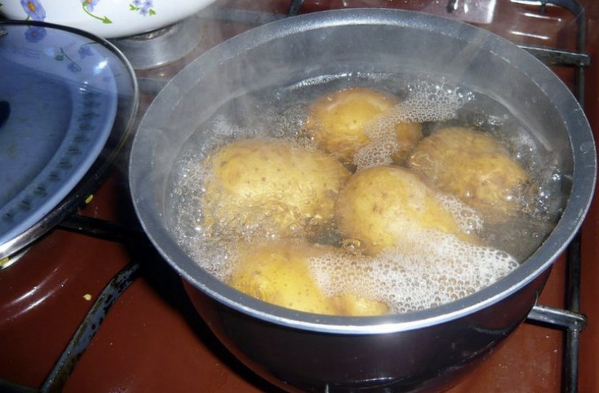 a358879575067bad42673a904e6fb2ad Чим обробити картоплю: перед посадкою від хвороб і шкідників, перед зберіганням на зиму, кращі препарати