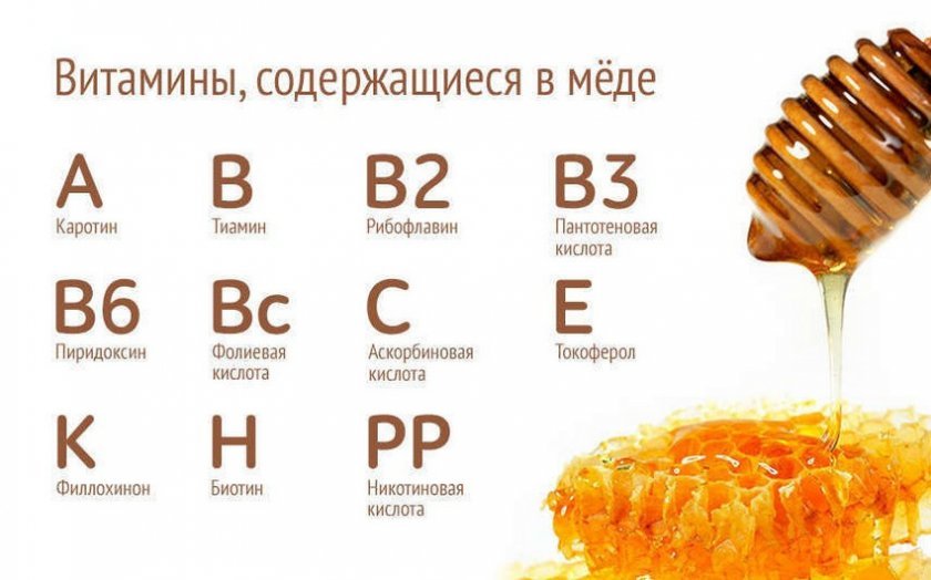 a44eb0c7ec165c8fe73aebb6e750b117 Особливості та правила прийому меду для підвищення імунітету: корисний вплив меду на організм