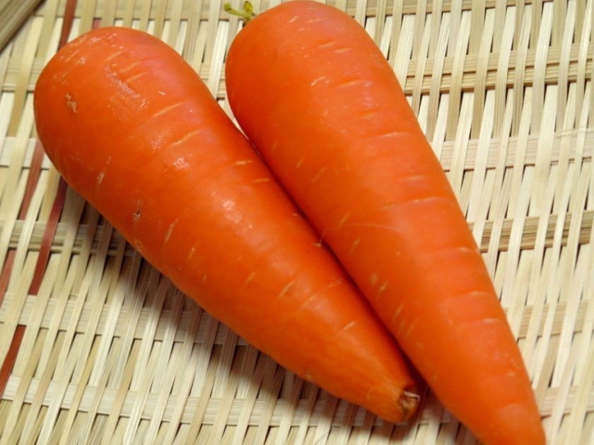 a9604b141d6d755c3b205d2c8a348050 Чому морква не солодка і не соковита: як виростити велику і солодку, кращі сорти