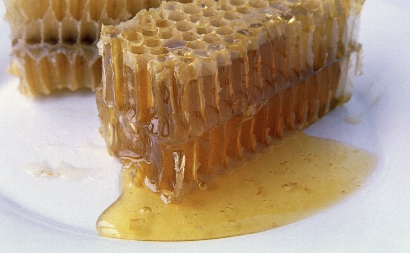 b6f199793e6cacef4ef0366751aebffe Мурашина кислота у бджільництві: для чого застосовується, фармакологічні властивості, обробка бджіл восени, поради пасічників