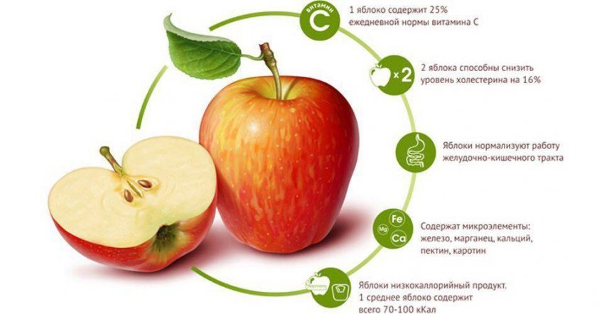 decba924d93778a781c79bb2b1a97a2b Який сорт яблук найкорисніший для людини, чим відрізняються зелені яблука від червоних