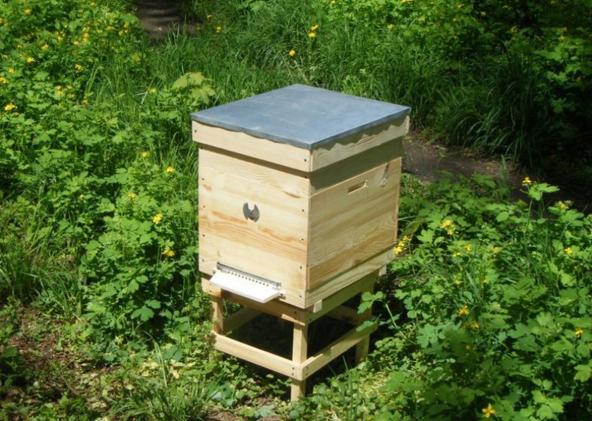 df365285de968bb8e0c7b62d4d8fa493 Будиночок для бджіл: види, особливості конструкції, вимоги, як зробити будиночок своїми руками
