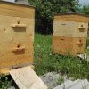 df72f9f22abdf1ba3b488a88e63e0134 Бджоли навесні: особливості догляду, поради початківцям бджолярам, відео