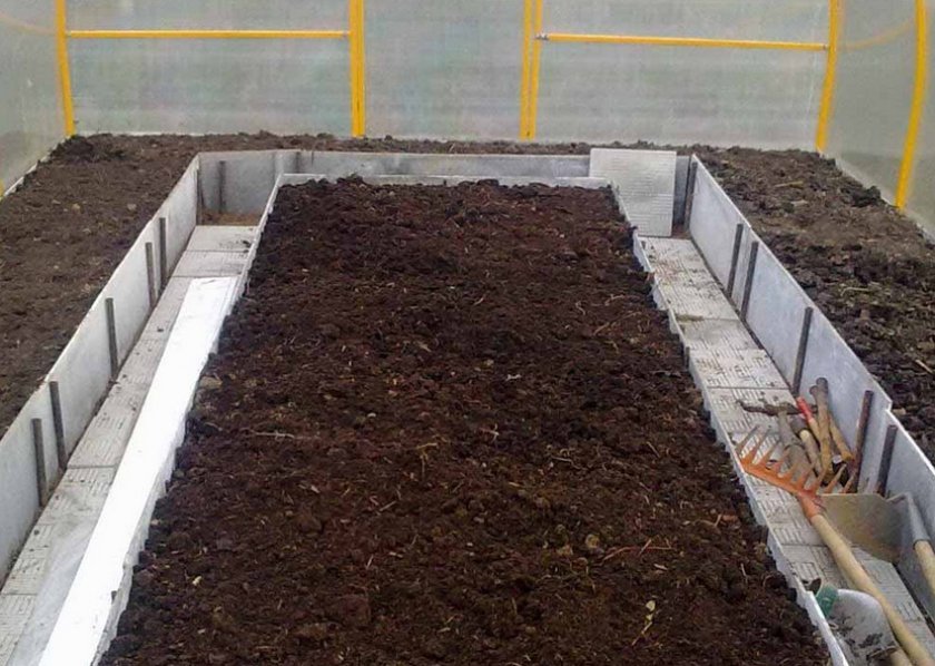 e06f739ecbcc3d34d9d45284a75a1a8d Як посадити картоплю взимку в теплиці: вирощування, урожайність технологія вирощування