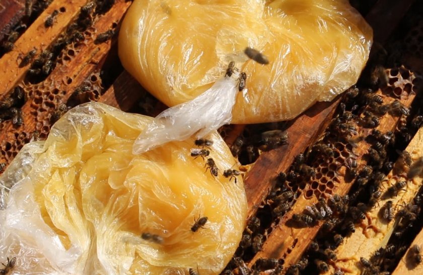 ebee8e4906f19ce3dfe5f43b34490d7d Скільки рамок потрібно залишати на зиму у вулику, скільки меду бджоли зїдають взимку