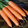 efaf4e9e4fb0aaeb27416b8a368a3d1b Моркву сорту Лагуна F1: особливості і опис, агротехніка вирощування та догляду за морквою, фото