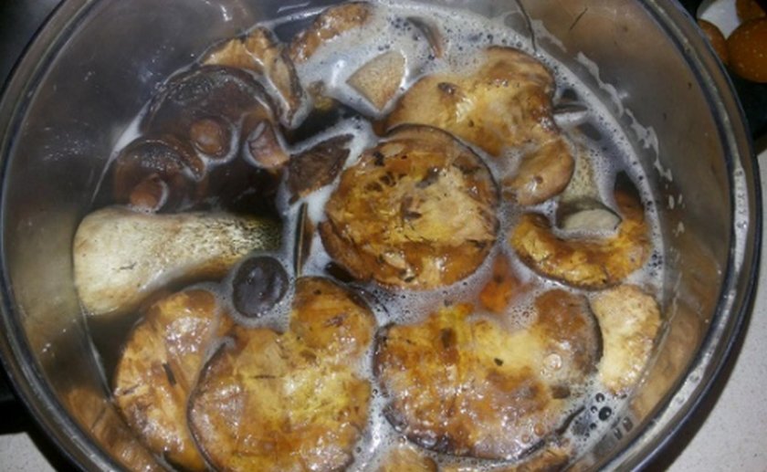 1ce506b0cdbac5e2a4e78e9c15e87667 Як приготувати гриби свинушки смажені на сковороді зі сметаною