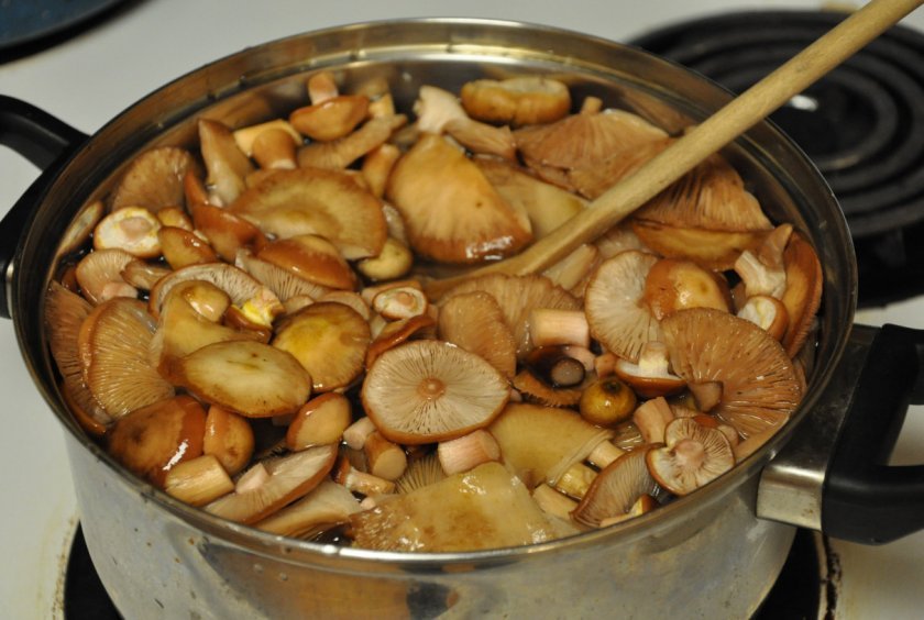 20b5ea521099b24baa82e6589c9e8f3c Як приготувати суп з сушених грибів з вермішеллю, простий і смачний покроковий рецепт з фото