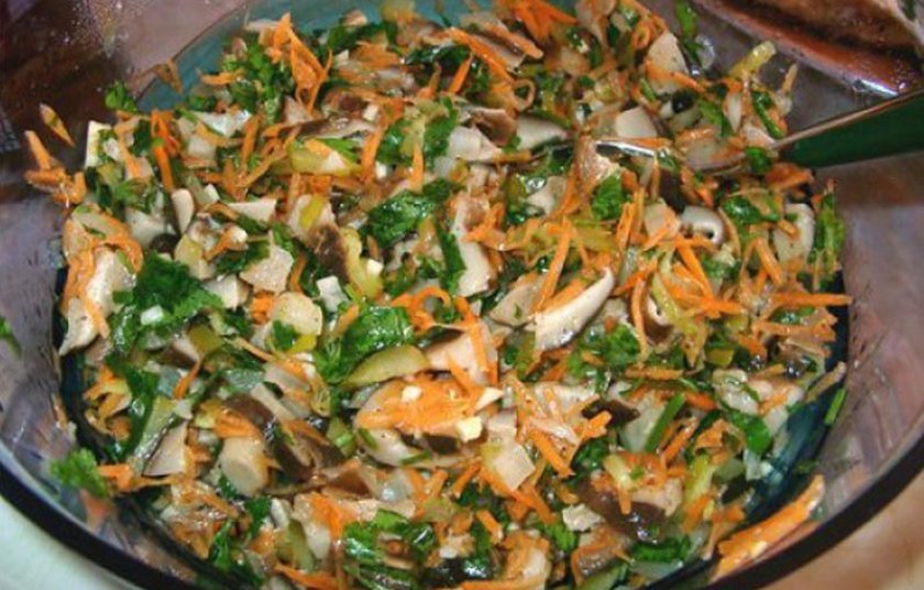 342cbd2f976c6a41b16bd777b6bd858a Салат з солоними груздями: рецепти приготування з картоплею і огірком, з куркою, салати «Росолье» і «Вогник»
