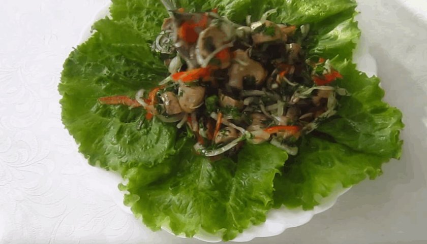 5bc89c810d6404db185aebf70f67af19 Салат з грибами: рецепти, прості і смачні, без мяса, свіжі гриби, листковий салат з цибулею