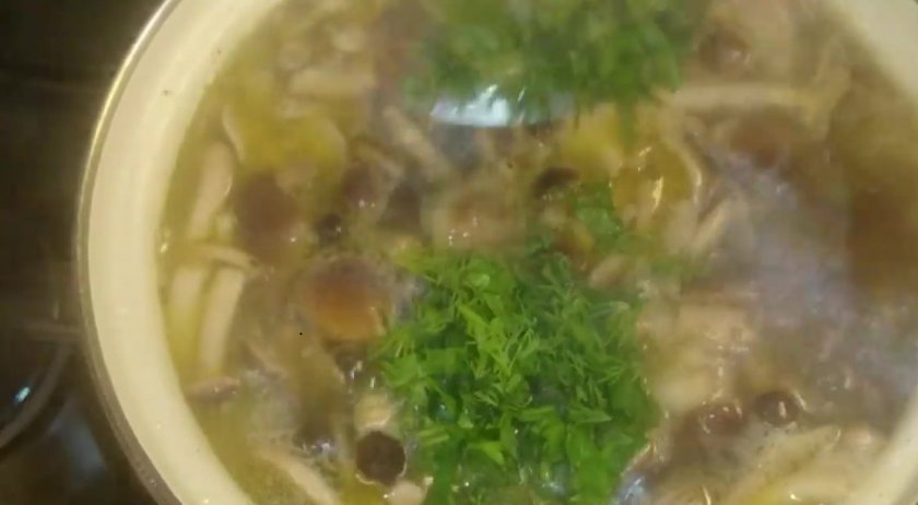 6dbde0e7d9f2e3767e046b54b9ee5ba5 Як приготувати грибний суп з свіжих опеньків: простий і смачний покроковий рецепт з фото