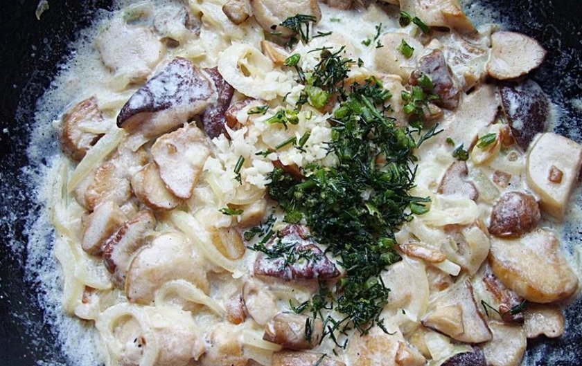 d2fa7989236f2d8c684312642320a31e Як готувати польський гриб: рецепти, смаження гриба, приготування білого підвиду