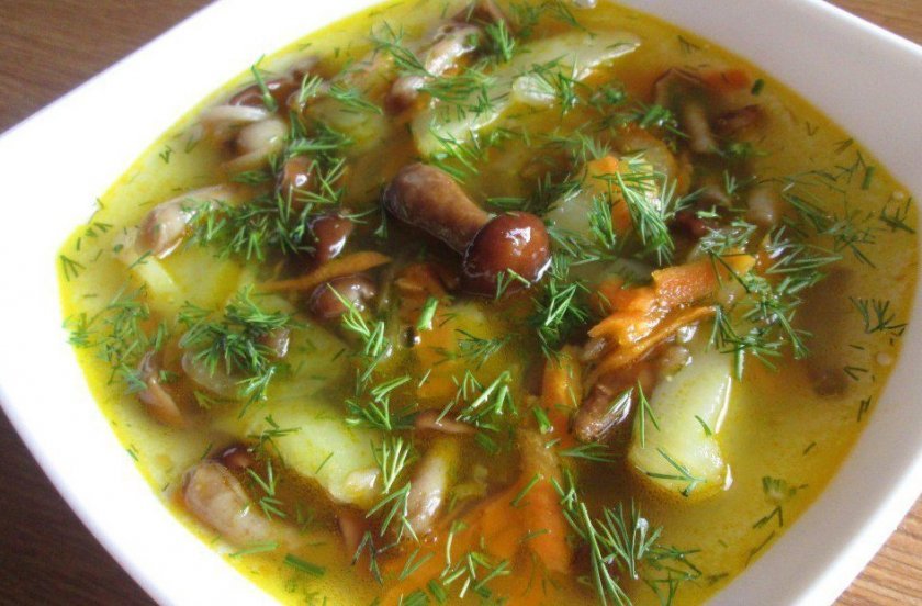 fb2b693ccfa51c1bb974bf2b045d91d4 Як приготувати грибний суп з свіжих опеньків: простий і смачний покроковий рецепт з фото