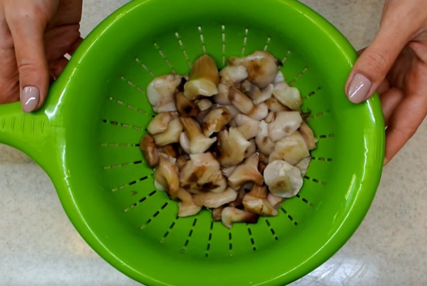 2a3191b32065ce630625313ac7b58d55 Смажені маслюки: найсмачніші рецепти приготування грибів в домашніх умовах
