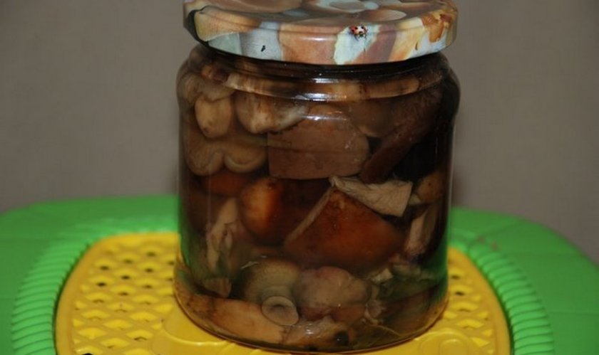 2af0b8d3f11407282348c91d0ff680f2 Як приготувати гриби свинушки: скільки варити, як посмажити і замаринувати