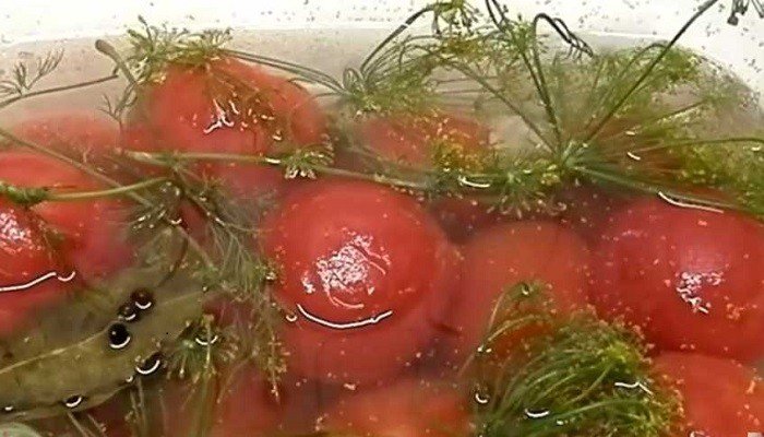 f4c79dcf06bcf544e90566d0b34d8034 Як приготувати смачні малосольні помідори з часником і кропом
