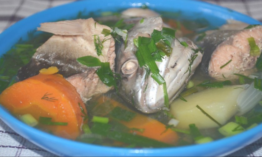 09024b6501fb52ace9b40b0ecc7c930d Рибний суп з горбуші: як зварити з картоплею і перловкою, покрокові рецепти з фото, скільки потрібно варити, як приготувати з свіжої і свіжомороженої