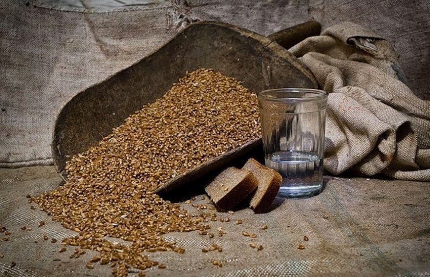 31f099183db57c6f306d077b737d360c Пшенична горілка в домашніх умовах: як зробити з пшениці з дріжджами і без них, виготовлення первака, як робили в СРСР, рецепти