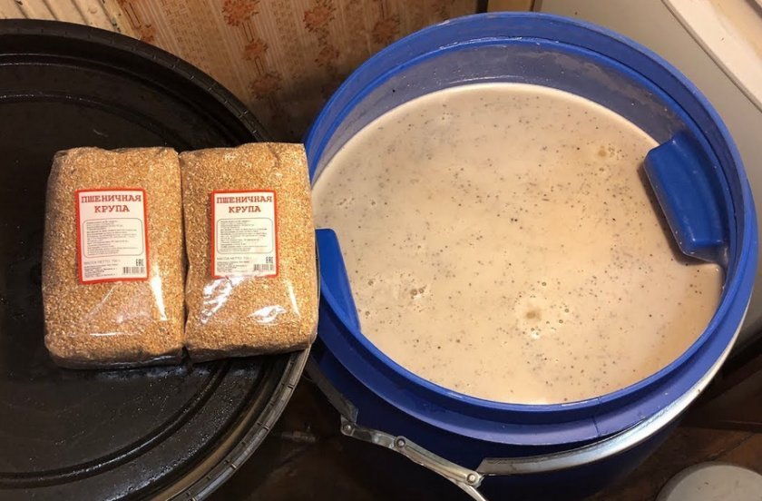 3d4a6dbdecaa3f4d3bdf46c4d0c3660e Пшенична брага на кодзі: рецепти приготування бражки для самогону з крупи і борошна пшениці з дріжджами