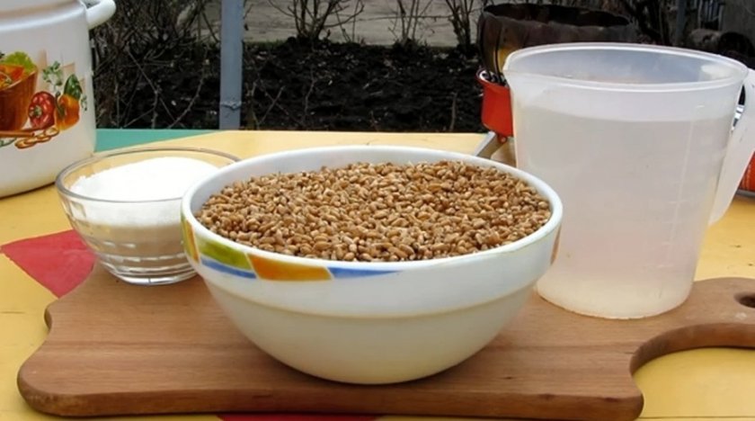 44e9b8c095c8ffe25866f4632b715141 Самогон з пшениці без дріжджів: рецепти приготування браги в домашніх умовах, як зробити без пророщування, скільки разів можна і як поставити брагу