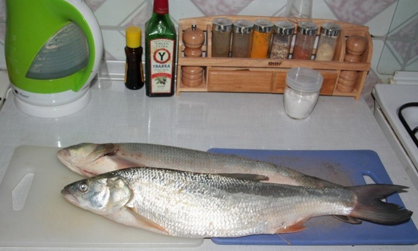 5b8df16ea1dabd961db5917d47569a30 Як приготувати балик з жереха в домашніх умовах: рецепти приготування з фото покроково, як вялити рибу в тканини