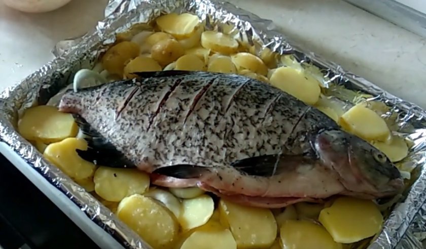 88e03ebd59328a6a3fd3ff94ec5df744 Лящ в духовці з картоплею: як приготувати у фользі з майонезом, рецепти приготування запеченої риби з картоплею