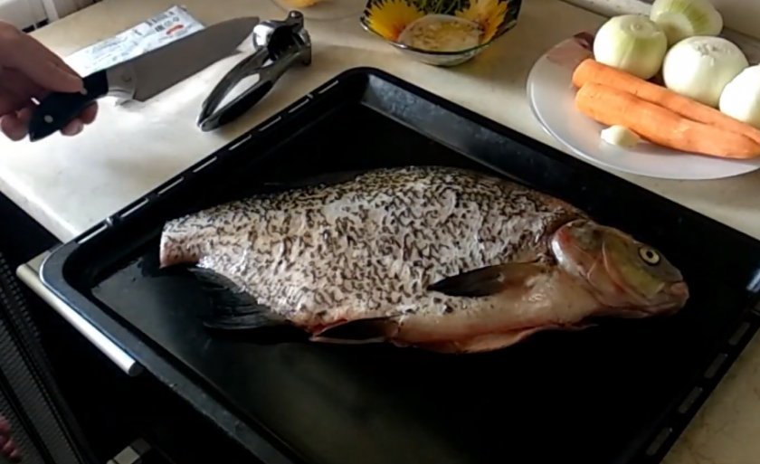 8cadd80217f215e12e6bbae8228dd66f Лящ в духовці з картоплею: як приготувати у фользі з майонезом, рецепти приготування запеченої риби з картоплею