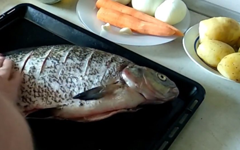 a8023db429ceec1cc7bf1d7a07c70928 Лящ в духовці з картоплею: як приготувати у фользі з майонезом, рецепти приготування запеченої риби з картоплею