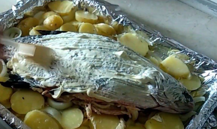 b78a4bc5dce7d2714083629523001b0d Лящ в духовці з картоплею: як приготувати у фользі з майонезом, рецепти приготування запеченої риби з картоплею