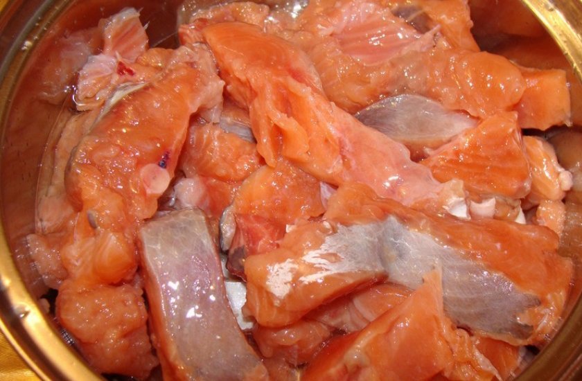 c4478115a38e7110e9086324930e5b6b Як солити горбушу в домашніх умовах шматочками швидко і смачно: рецепти соління риби з маслом і цибулею, у банку, як засолити в розсолі