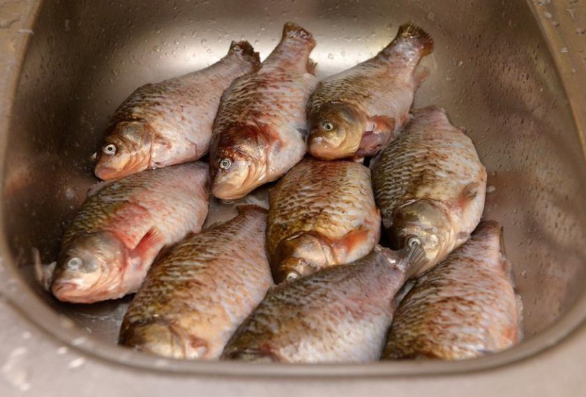 d9c7ce1304ffda5efab41a4ddf21225d Тушкований карась: рецепт з фото, в сметані, як загасити в томаті на сковороді з овочами в мультиварці, що можна приготувати з дрібної риби