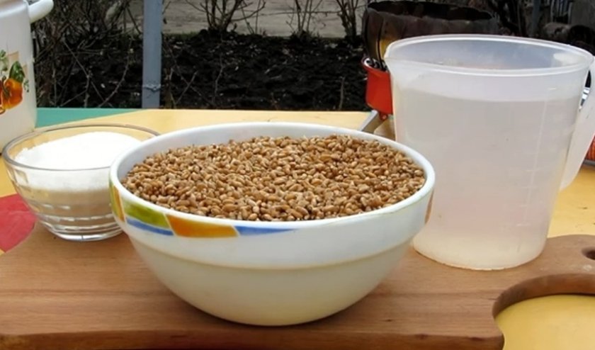 e7bfeba234945b4be3d9292172d9c8fa Пшенична горілка в домашніх умовах: як зробити з пшениці з дріжджами і без них, виготовлення первака, як робили в СРСР, рецепти