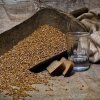 f726c1b3898854fad4536bec534de8b1 Пшенична горілка в домашніх умовах: як зробити з пшениці з дріжджами і без них, виготовлення первака, як робили в СРСР, рецепти
