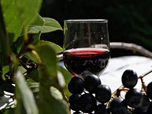 vino iz chernoplodnoj rjabiny v domashnih uslovijah prostye recepty f7204f6 Вино з чорноплідної горобини в домашніх умовах   прості рецепти